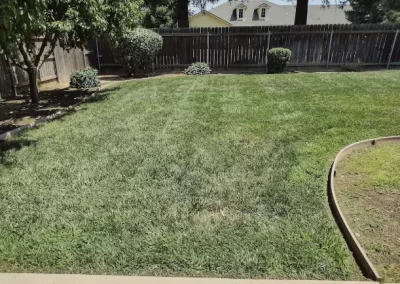 Landscaping Services