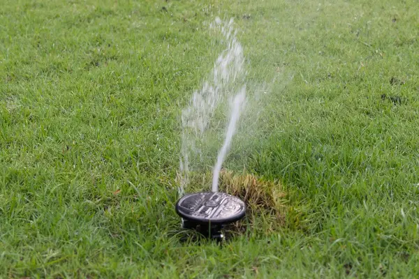 Sprinkler Installation