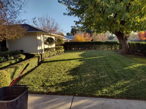 Yard Maintenance